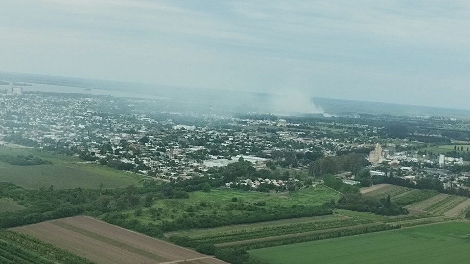 El Diario de San Pedro | Noticias locales y regionales