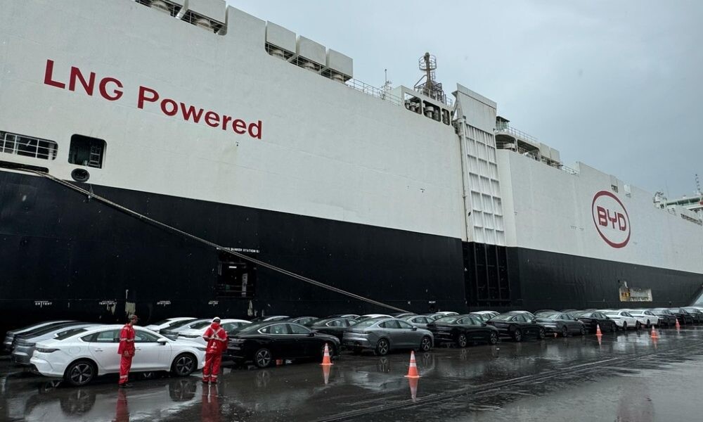 El Diario de San Pedro | Noticias locales y regionales