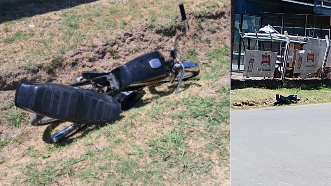 El Diario de San Pedro | Noticias locales y regionales