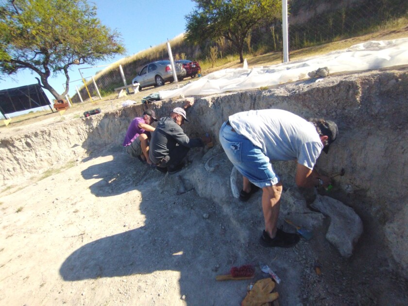 El Diario de San Pedro | Noticias locales y regionales