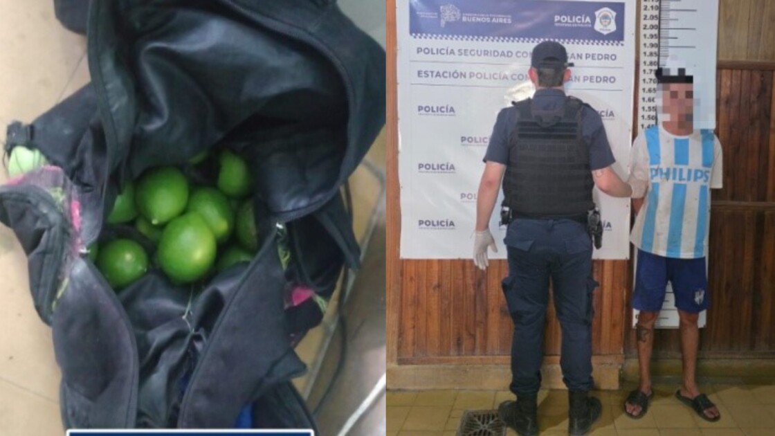 El Diario de San Pedro | Noticias locales y regionales