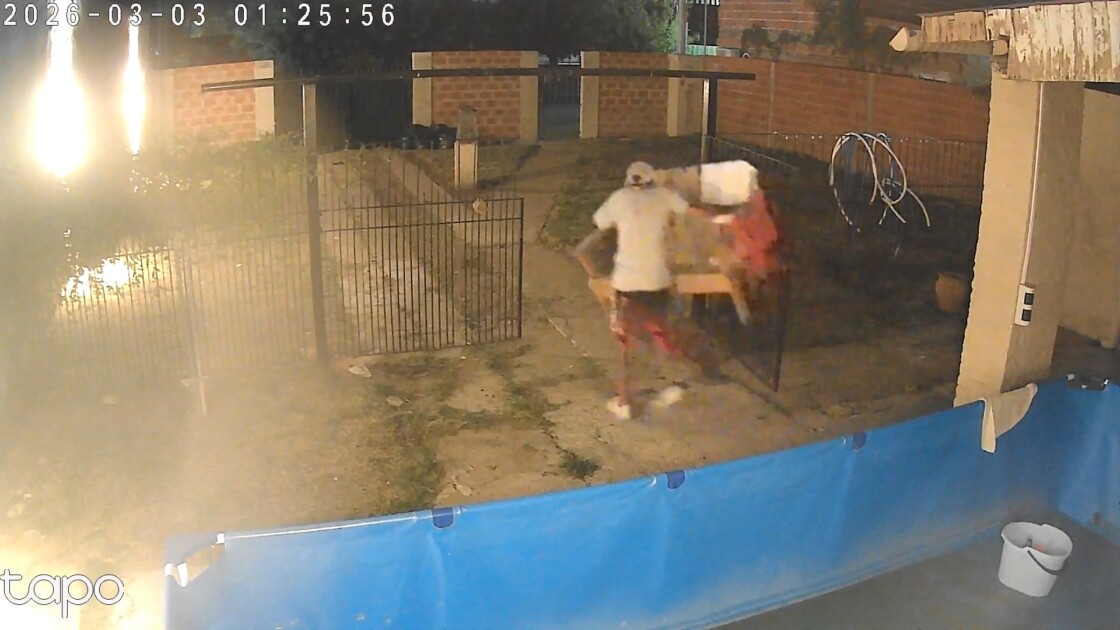 El Diario de San Pedro | Noticias locales y regionales