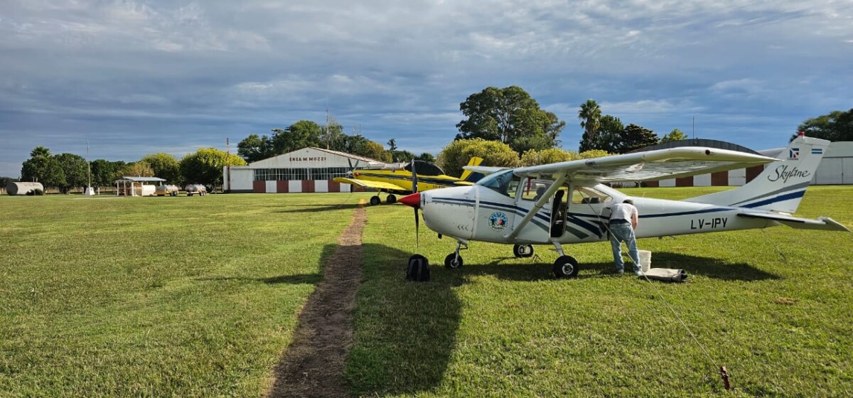 El Diario de San Pedro | Noticias locales y regionales