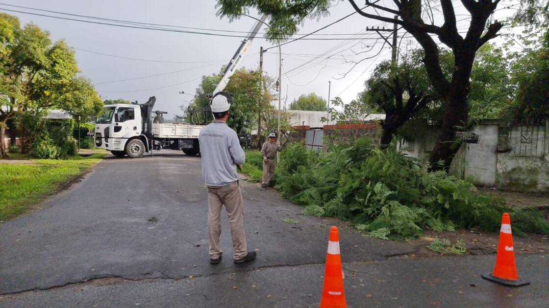 El Diario de San Pedro | Noticias locales y regionales