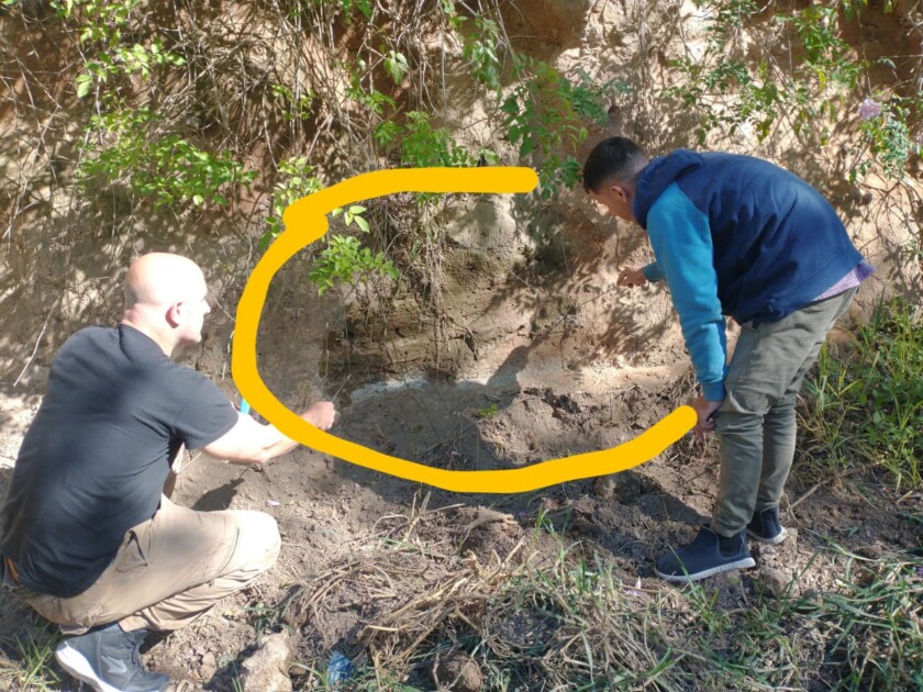 El Diario de San Pedro | Noticias locales y regionales