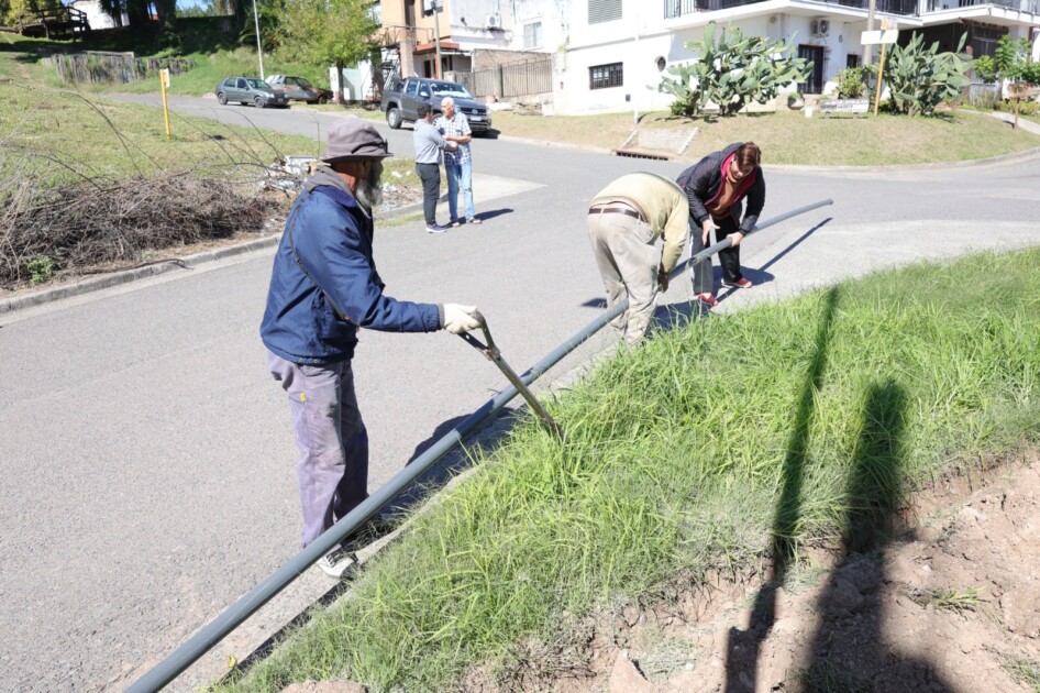 El Diario de San Pedro | Noticias locales y regionales