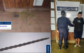 El Diario de San Pedro | Noticias locales y regionales