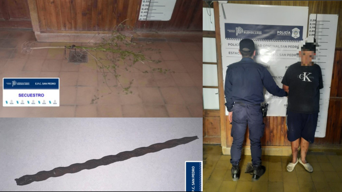 El Diario de San Pedro | Noticias locales y regionales