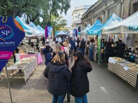 El Diario de San Pedro | Noticias locales y regionales