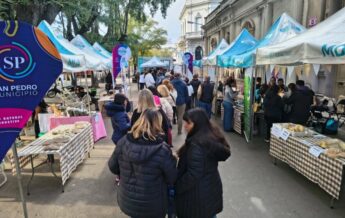 El Diario de San Pedro | Noticias locales y regionales