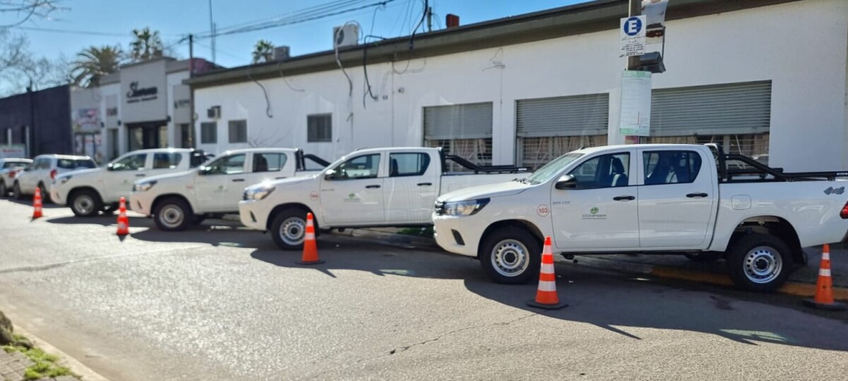 El Diario de San Pedro | Noticias locales y regionales