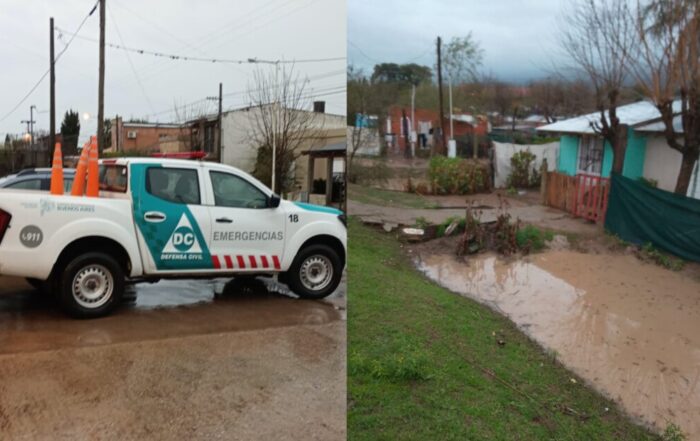 El Diario de San Pedro | Noticias locales y regionales
