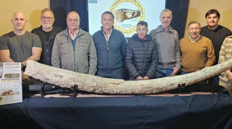 El Diario de San Pedro | Noticias locales y regionales