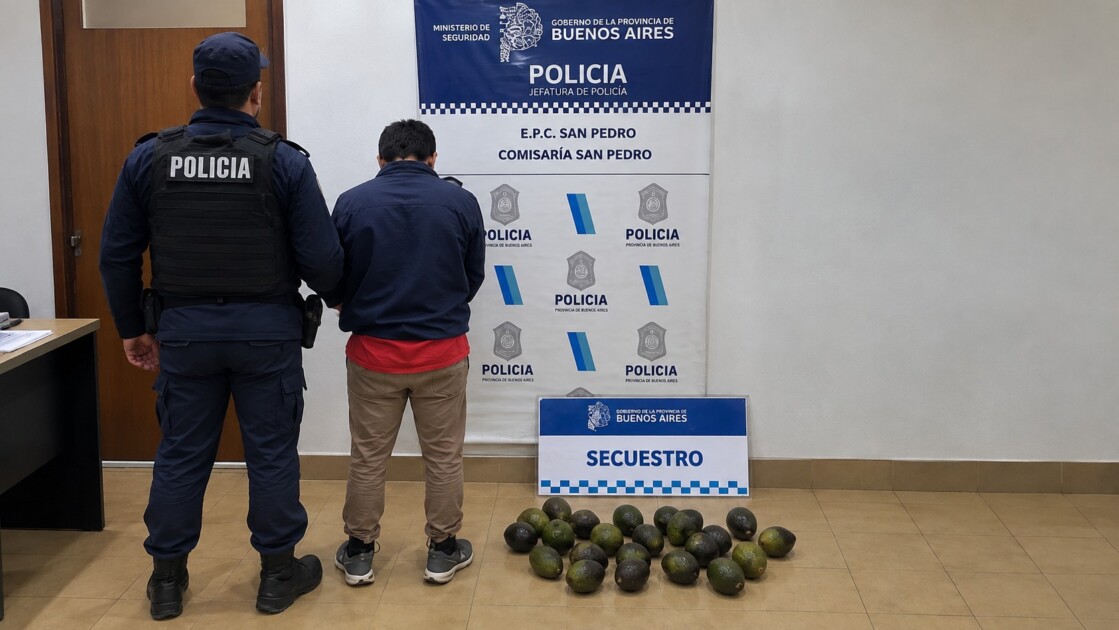 El Diario de San Pedro | Noticias locales y regionales
